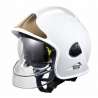 MSA F1E Helmet